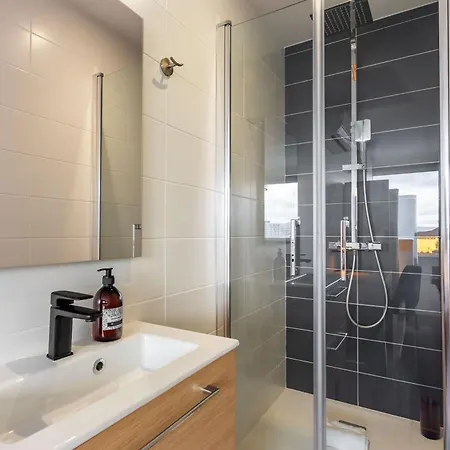 Le Prouve Ii - Tres Bel Climatise Apartment Nancy