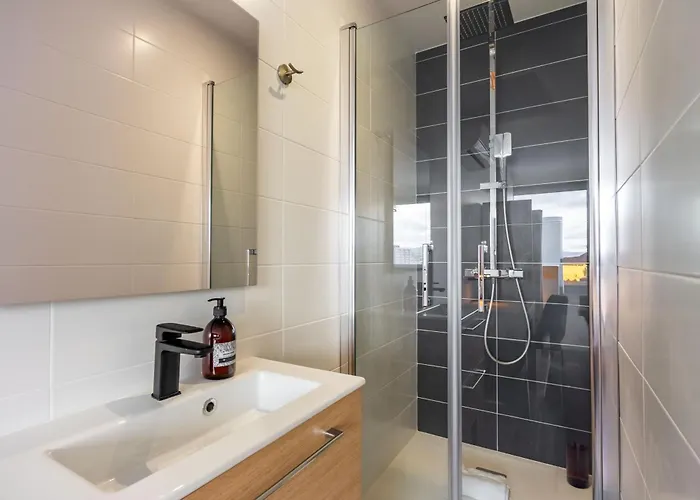 Le Prouve Ii - Tres Bel Climatise Apartment Nancy